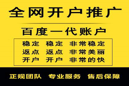 某公司SEM代理策略：实现流量转化